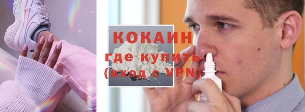 трава Белокуриха