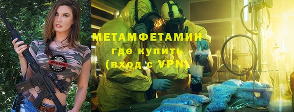 трава Белокуриха