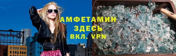 трава Белокуриха